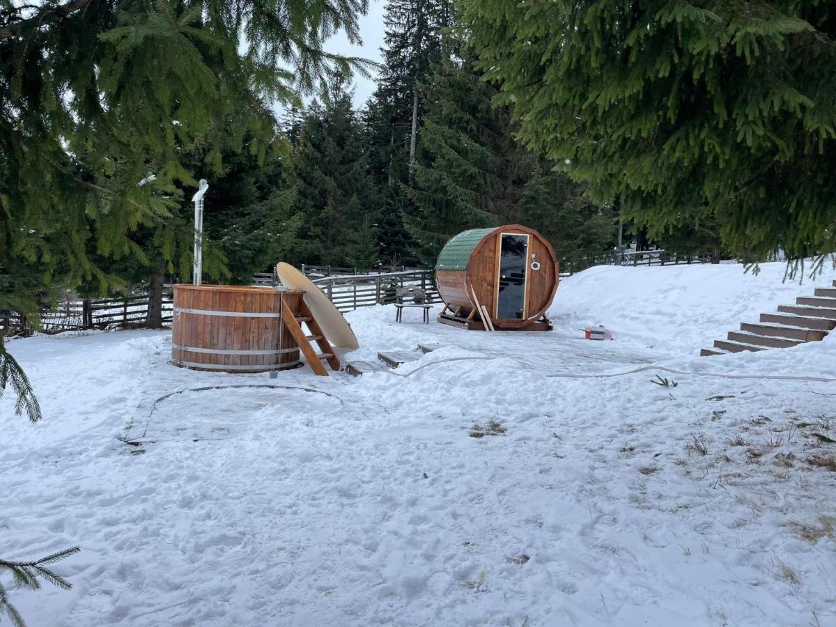 Hotel Floare De Colt Mînăstirea Humorului Exterior foto